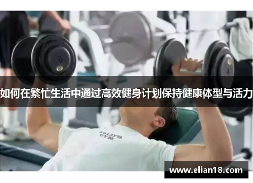 如何在繁忙生活中通过高效健身计划保持健康体型与活力